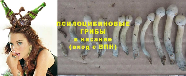 мдпв Гусев