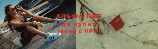 ГАЛЛЮЦИНОГЕННЫЕ ГРИБЫ Елизово