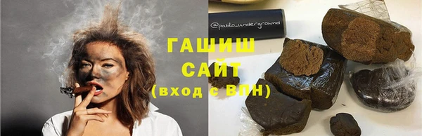 мдпв Гусев
