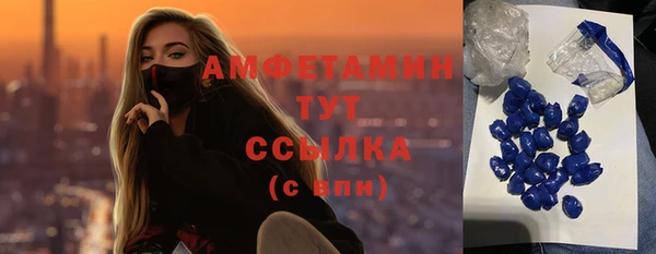 мдпв Елабуга