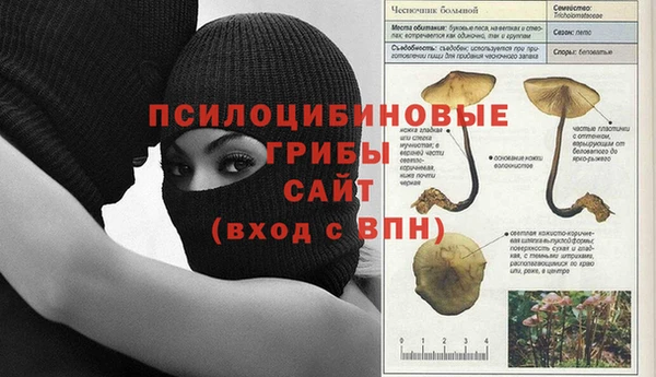 кокаин VHQ Ельня
