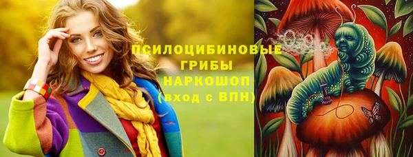 ГАЛЛЮЦИНОГЕННЫЕ ГРИБЫ Елизово