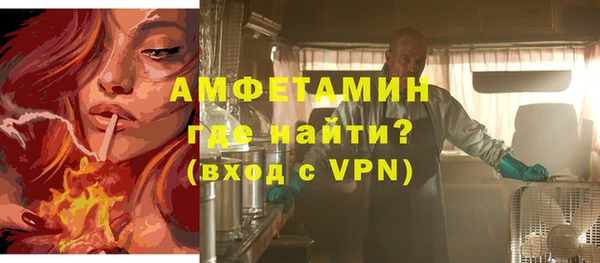 мдпв Елабуга
